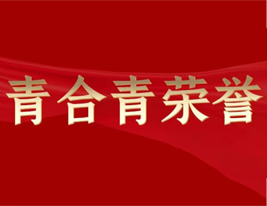 青合青荣誉 | 本所荣获中华全国律师协会通报表扬